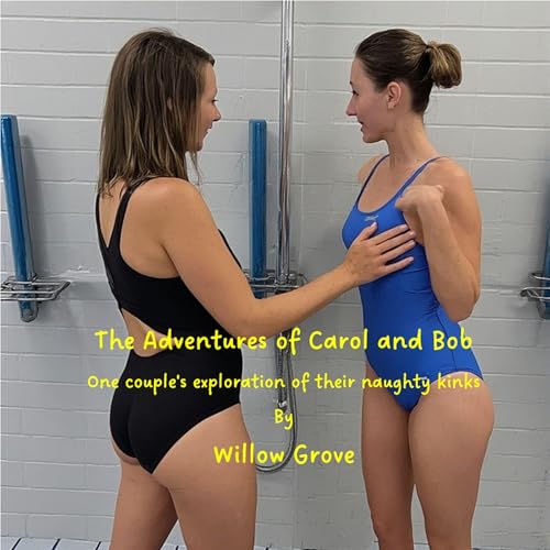 『The Adventures of Carol and Bob』のカバーアート