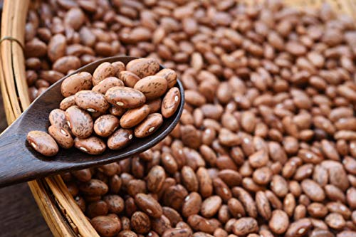 image for Food to Live Organic Pinto Beans, 10 Pounds, Non-GMO, Frijioles Pintos