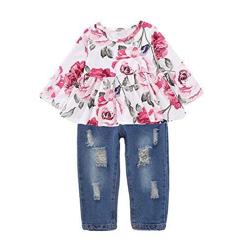 CPEI Baby Girls Boys Clothes Outfits Long Sleeve Flowers Hoodie Top and Pants Outfit Fall Outfit Winter Clothes Set
