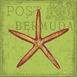 Stephanie Marrott – Funky Starfish Impression d'art Print (30,48 x 30,48 cm)