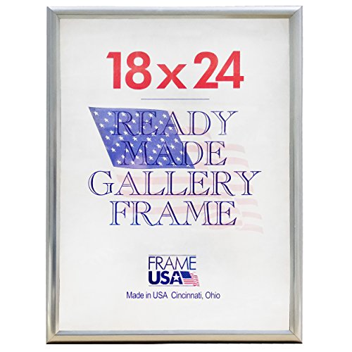 Frame USA 18x24 Deluxe Polystyrene Plastic Poster Frames (Silver), Made in America