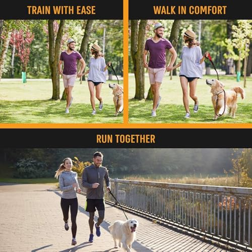 Image of 5FT Strong Dog Leash with Comfortable Padded Handle and Highly Reflective Threads Dog Leashes for Small Medium and Large Dogs (Leash - Black)