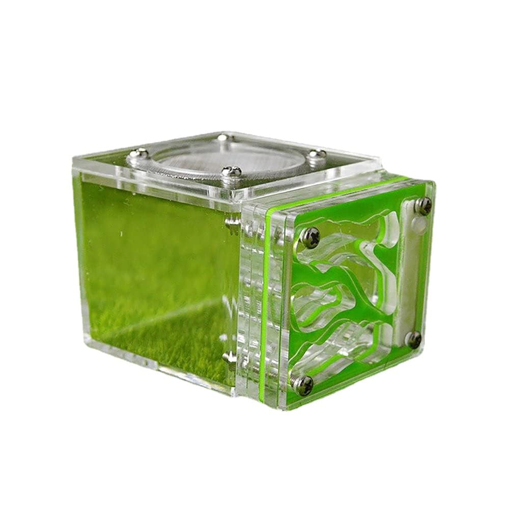 2 Mini Formiche Nido Piccolo Colonia Di Alimentazione Con Provetta Nido Aereo Formiche Casa Fattoria  9ydbpwb3ggr6ds Bpef