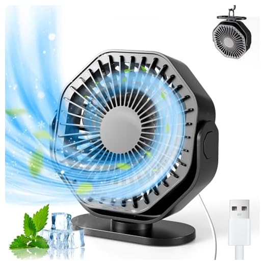 Lerat USB Desk Fan,USB Fan with 3 Speed, 5 Inches Quiet Portable Desktop Fans, 360° Rotatable Mini Table Fan with Hang Hook, USB Personal Fan for Bedroom Home Office Travel Summer Gift-USB Powered