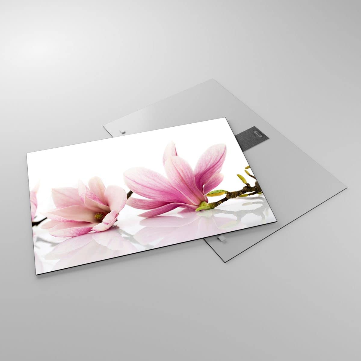 Cuadro sobre Vidrio 70x50cm Moderno Horizontal Botánica Flores - 2641
