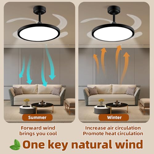 BAYSQUIRREL Slim Retractable Ceiling Fan with Lights and Remote/APP Control,6 Speed Dimmable Reversible Memory Ceiling Fan,42 inch Modern Silent Smart Ceiling Fans for Bedroom Living Room Dinning Room by BAYSQUIRREL - Image 4
