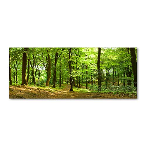 Crédence de cuisine paysage vert pour cuisiner face à la forêt