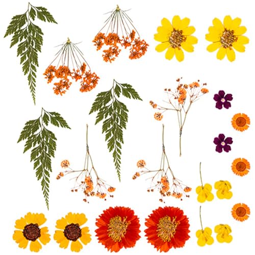 VRԃhCt[tZbgNtgXNbvubLOWG[CLOtHgt[dbP[XNtghCt[