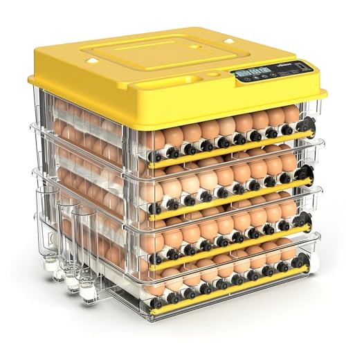 HKDQ 288 Egg Incubator