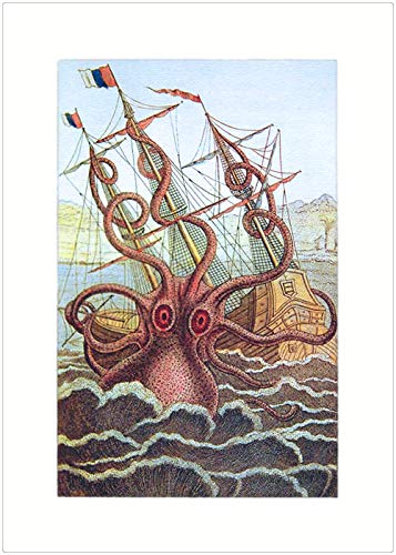 Lucca Paperworks Octopus & Ship Blank Card, 5 X 7 (1)
