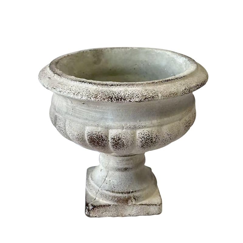 ROCKING GIFTS Macetero de Cemento 19 cm