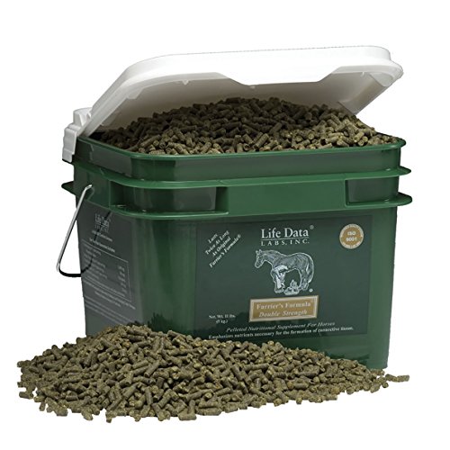 Discover the Top 10 Farriers Formula Double Strength Plus Joint