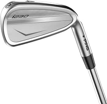 51TSQX71P8L._AC_UF350,