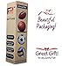 Pifito Ball Pump - Dual Action Hand Air Pump for Soccer Ball, Football, Basketball and Inflatables - Convenient Storage Pouch Included - with 4 Additional Needles (1 Pack)