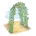 Gardener’s Supply Company Extra Tall Garden Arch Arbor | 80 Inch Tall Titan Squash Tunnel | Lightweight Metal, Trellis Plant Stand for Climbing Vines | Outdoor Lawn Tower & Support Structure