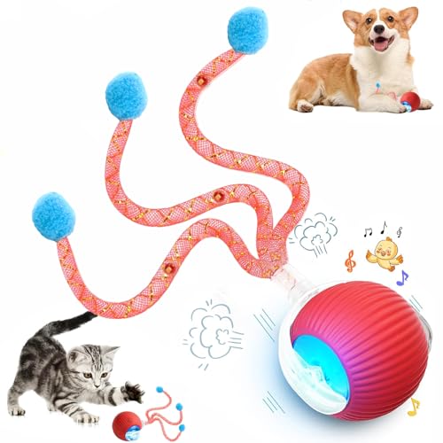 Speed 2.0 Tail Interactive Cat Toys for Indoor Cats, Chirping