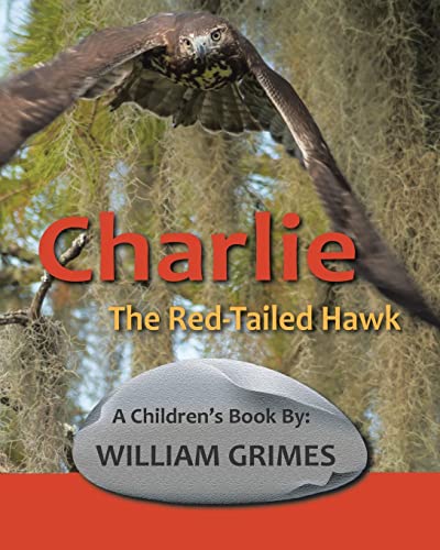 La Mejor Lista de Charlie Red los mejores 5. 35 Charlie the Red-Tailed Hawk