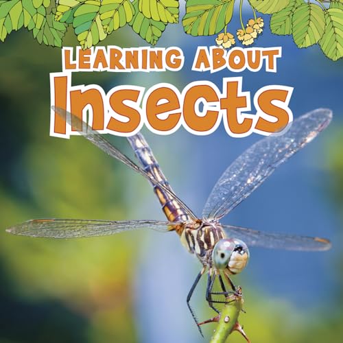 Learning About Insects (The Natural World)
