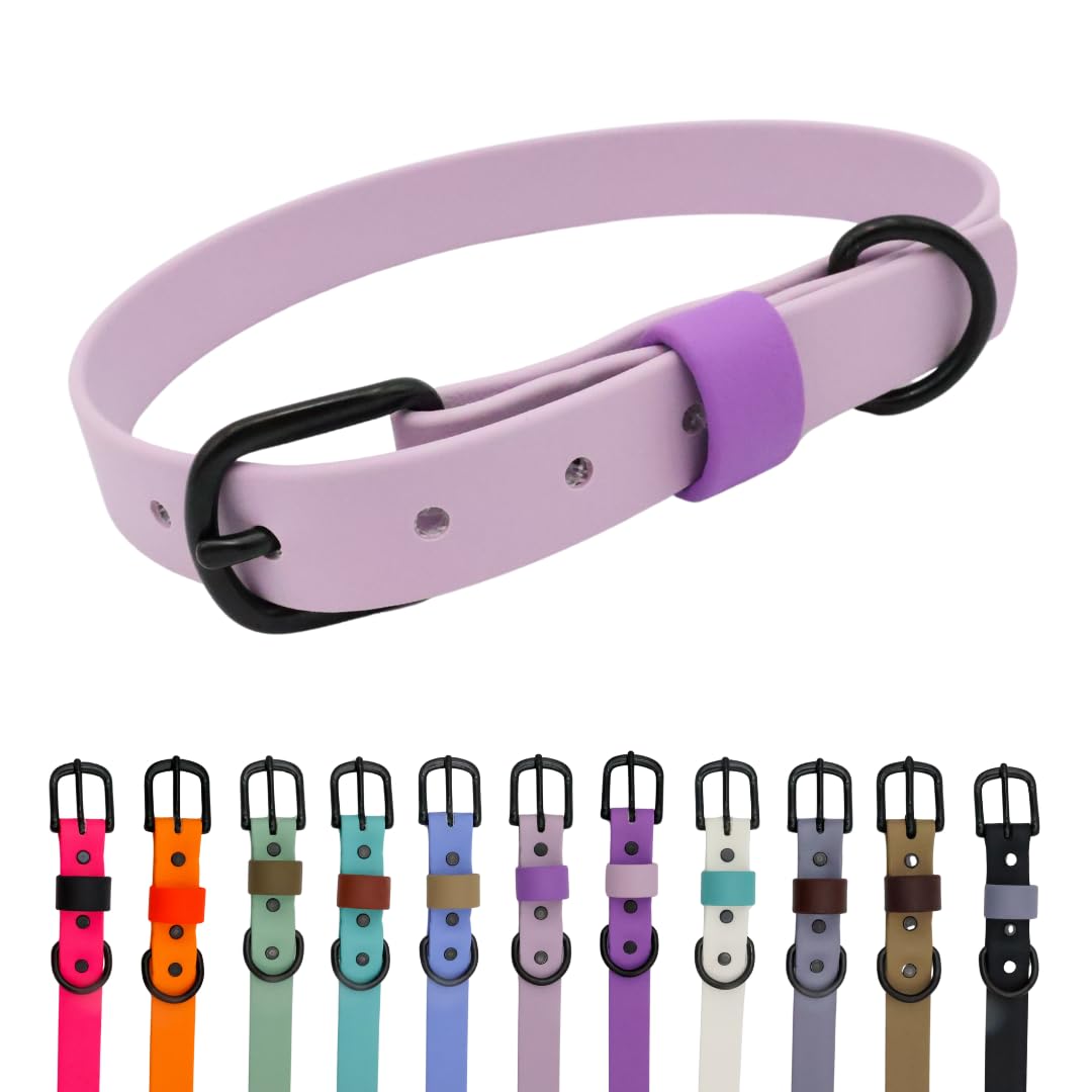 Collier pour chien prune boucle lavande souple et facile à nettoyer
