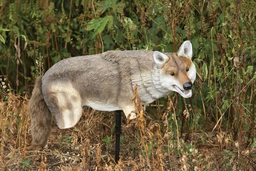 image for Lucky Duck Yote Coyote Decoy, brown, Single Pack