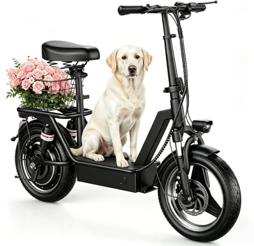 Electric Scooter with Seat 1000W