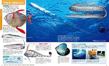 Tankobon Hardcover ( Picture book MOVE of movement of the Kodansha ) fish Book