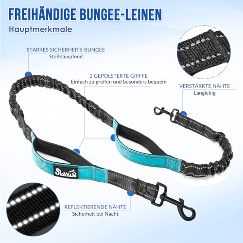 Eyein Joggingleine mit Bauchgurt für kleine und mittelgroße Hunde, verstellbar Freihandleine mit Reflektierend Elastisch Laufleine und Dual Griffe zum Joggen und Walken, M für einen Hund