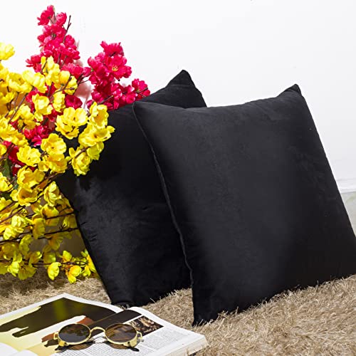 Image of Cazimo Velvet Cushion Covers for Bed, Sofa and Couch - 16 * 16 inches | Ideal for Living Room | Set of 2, Black