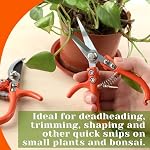 SPEEDWOX Élagage des cimes pour le jardinage - Pruniers de dérivation, ciseaux de triage de sprays modernes, cisaillers de plantes, Ciseaux Q-yard Bonsai (2-Pack)
