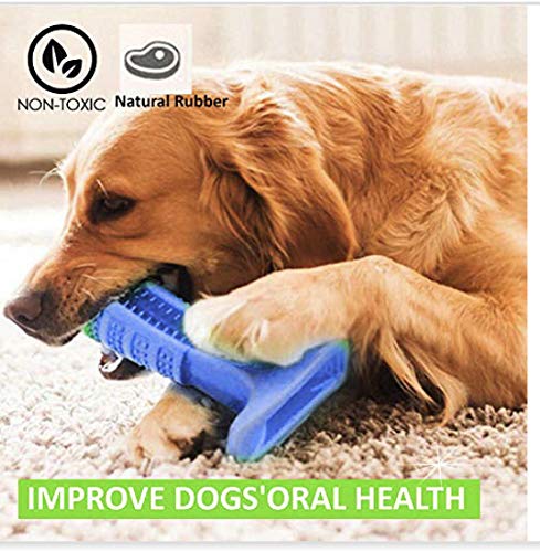 Doggeez Dog Toothbrush, Teeth Cleaning kit, Dog Toothbrush Stick, Great for Dental Hygiene, for Oral Care(Small 4 1/2inch)