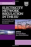  Electricity Network Regulation in the EU: The Challenges Ahead‎ for Transmission and Distribution (Loyola De Palacio Series on European Energy Policy)