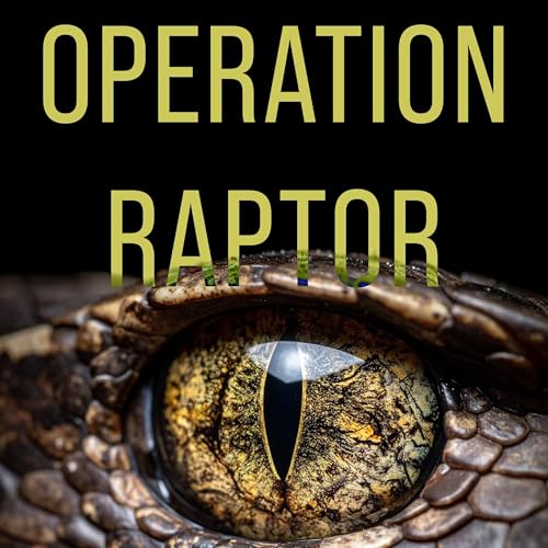 Operation RapTor - n&auml;r anonymiteten p&aring; darknet f&ouml;rsvann