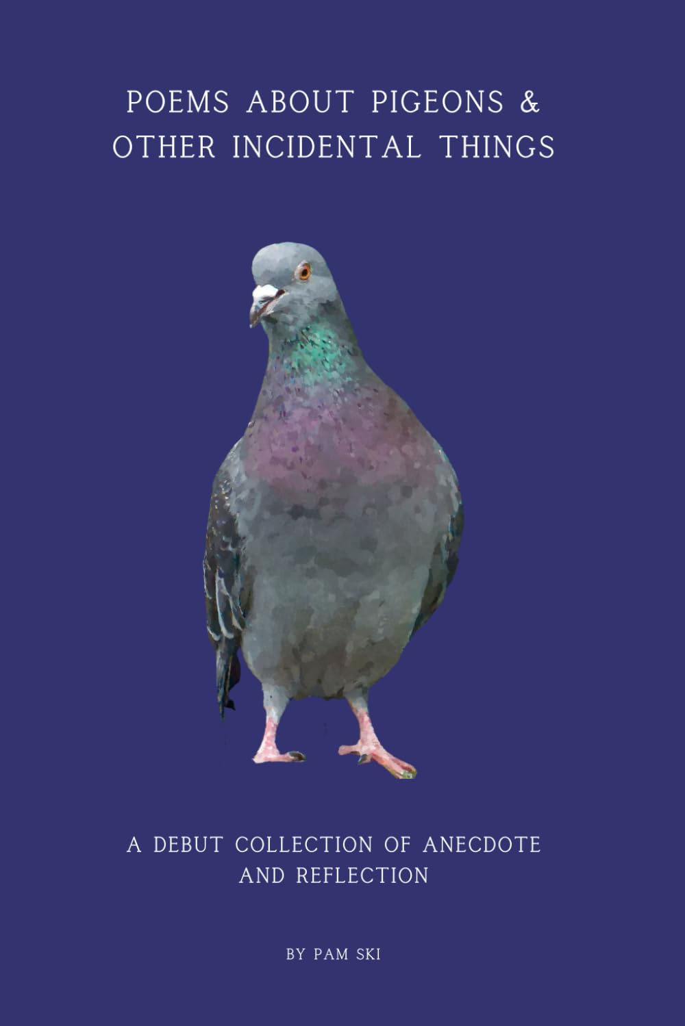 Poems About Pigeons & Other Incidental Things: A debut collection of Anecdote and Reflection