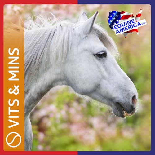 Equine America Vitamin E & Selenium Powder Solution - Image 5