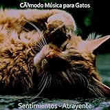 Sentirse Bien - Sonidos