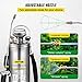 Happybuy 3 Gallon Stainless Steel Sprayer, 20