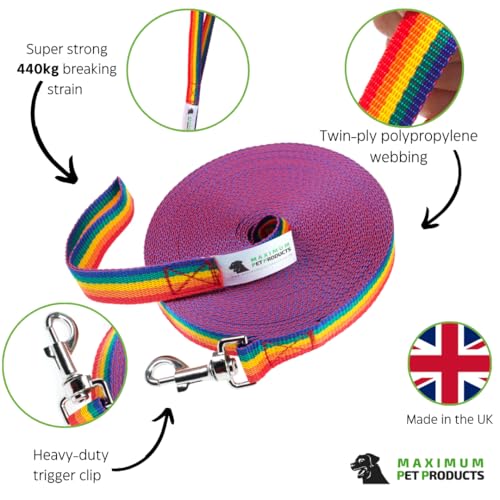 200 FT Rainbow Hund Training führen