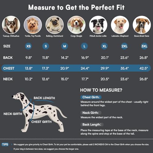 Queenmore Hundejacke Kleine Hunde Winter, Hundemantel Reflektierend Wasserdicht, Hunde Fleecemantel für Dackel/Cockapoo/Spielzeugpudel/Welpen(Coelinblau, S)