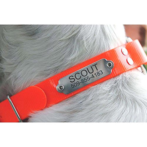 Gotags Sporting Dog Collar With Personalized Nameplate In Stainless Steel, Waterproof Orange Hunting Dog Collar Resistant To Dirt, Oils And Moisture, Odor-Proof #TOP2