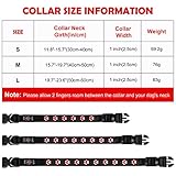 AUAUY Hundehalsband Leuchtend, LED Leuchthalsband Hunde Halsband USB Wiederaufladbar Wasserdichtes für Kleine Mittlere Große Haustier Einstellbar Sicherheit Kragen mit 3 Beleuchtungsmodi (Rot-M)