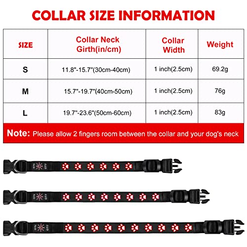 AUAUY Hundehalsband Leuchtend, LED Leuchthalsband Hunde Halsband USB Wiederaufladbar Wasserdichtes für Kleine Mittlere Große Haustier Einstellbar Sicherheit Kragen mit 3 Beleuchtungsmodi (Rot-M)