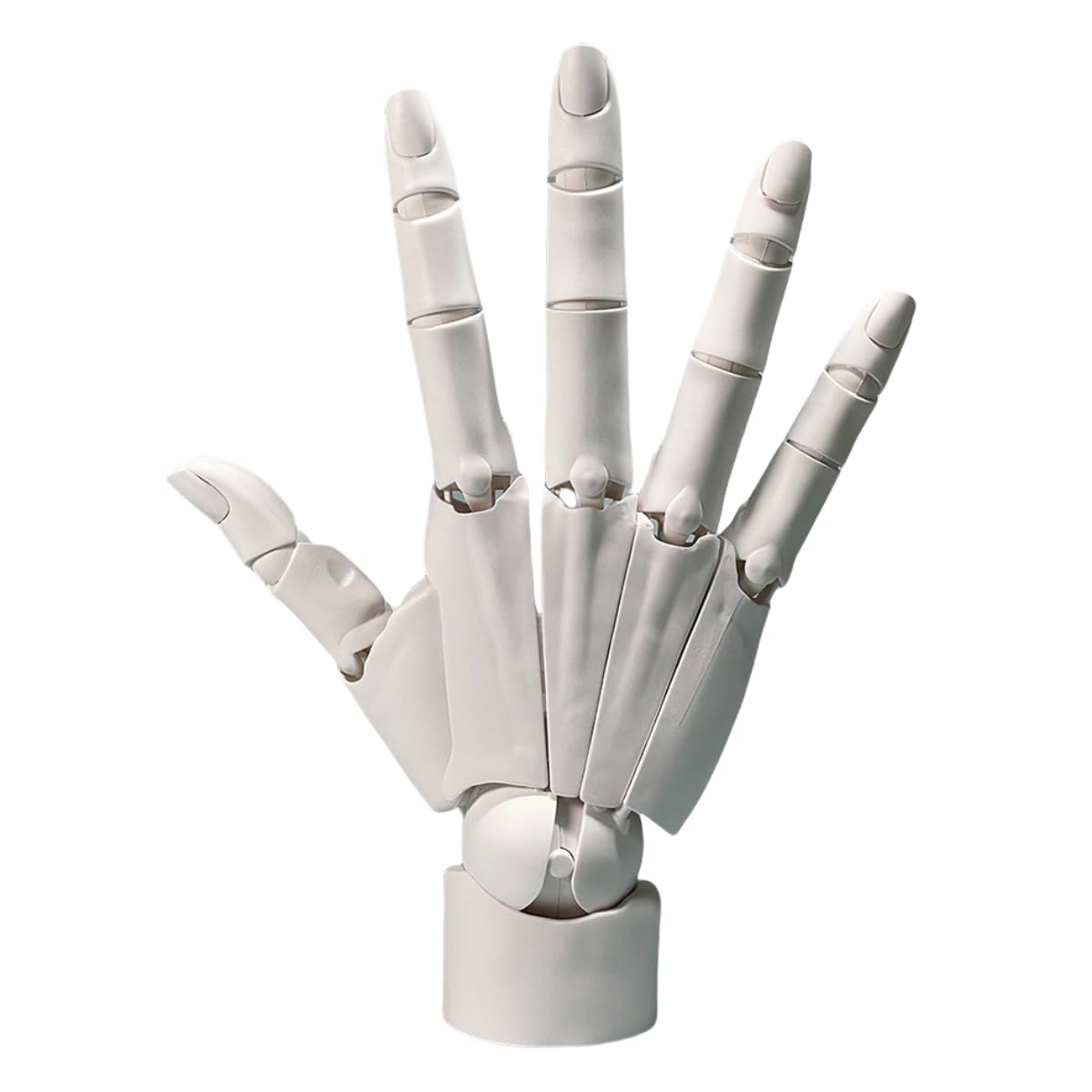 1:1 Flexible Right Hand Model, Joints Moveable Artists Manikin Hand Figure for Arts Drawing Sketching Painting Jewelry Display (White, one Size)