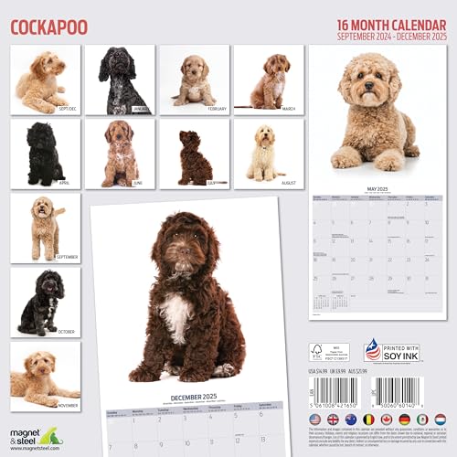 Cockapoo 2025 Modern Calendar, Various - Image 2
