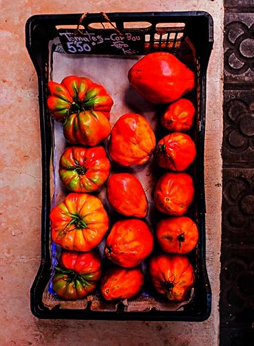 Tapas de Verduras: 90 vegetarische Original-Rezepte für die spanischen Klassiker