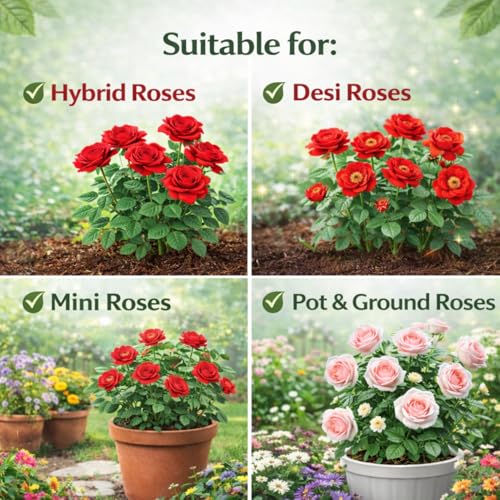 Image of Indian Gardens - Rose Fertilizer | Rose Plant Food For Flowering Plants | Flower Booster (400 Grams)