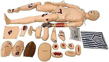 Demonstration Patient Care Simulator, 170CM PVC Nursing Manikin, Medical Anatomical Human Model, Human Anatomical Model with Vital OrgansMale