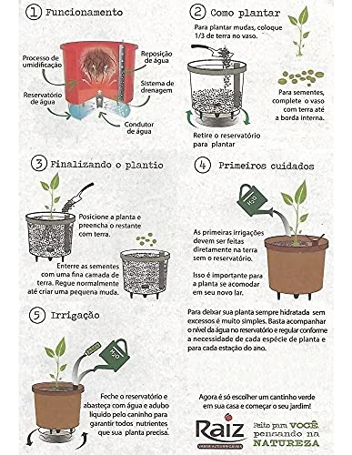 Kit 3 Vaso Auto Irrigável 16x14cm Autoirrigável Gourmet (16 X 14 CM)