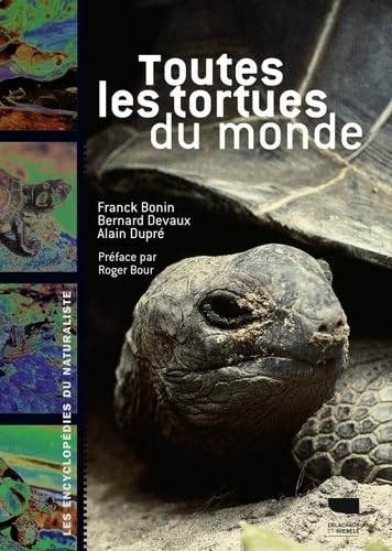 cadeau tortue