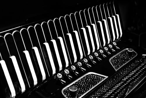 Nalbantov Accordion Microphone Pickup System AMP 7S with Superior Sound Quality