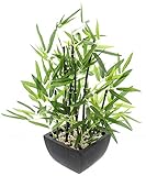 deko pflanzen ikea Bringt Gemütlichkeit: Kunstblumen bringen Gemütlichkeit und Wärme in dunkle Ecken. Der Deko-Bambus ist eine tolle Flur-Deko oder Badezimmer-Dekoration.